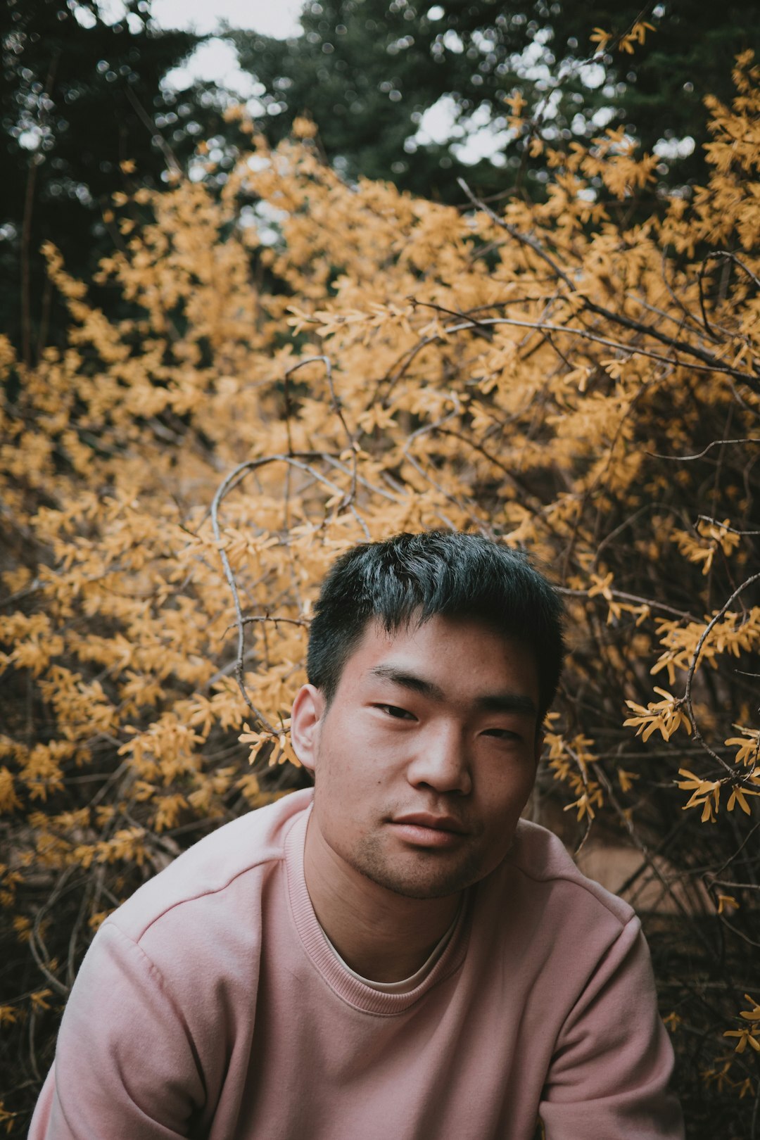 Portrait of a Japanese man in his 30s, photo editor